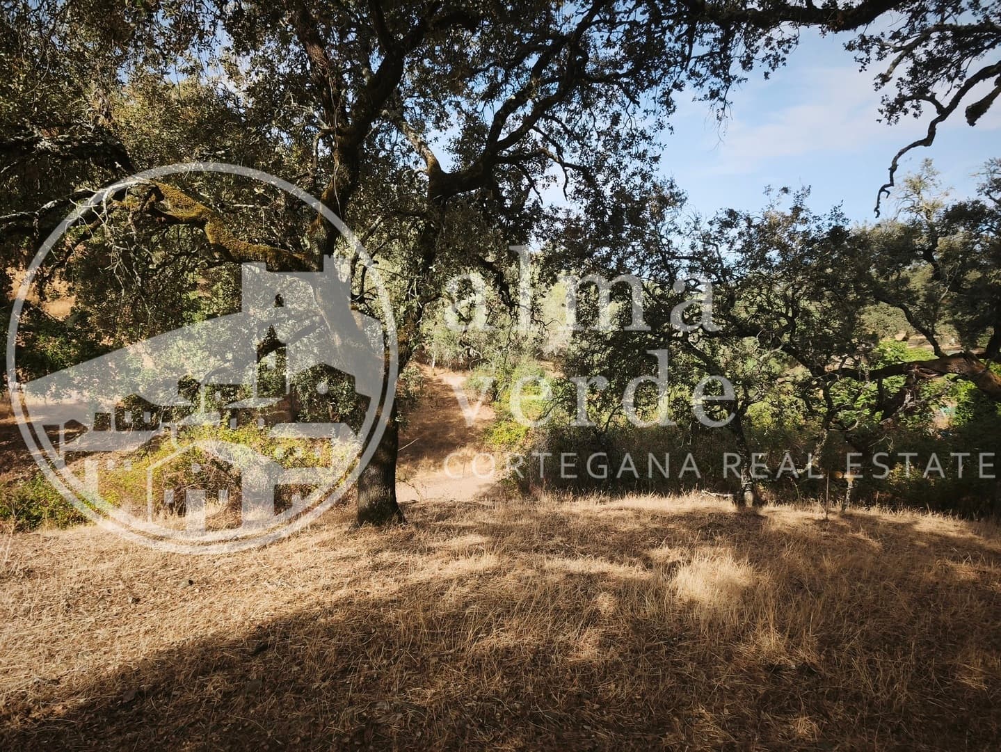 Privileged Location Just 5 Minutes from the Village - Image 10