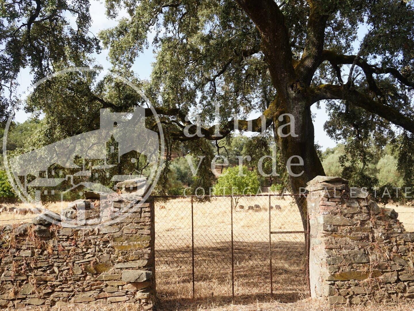 Privileged Location Just 5 Minutes from the Village - Image 2
