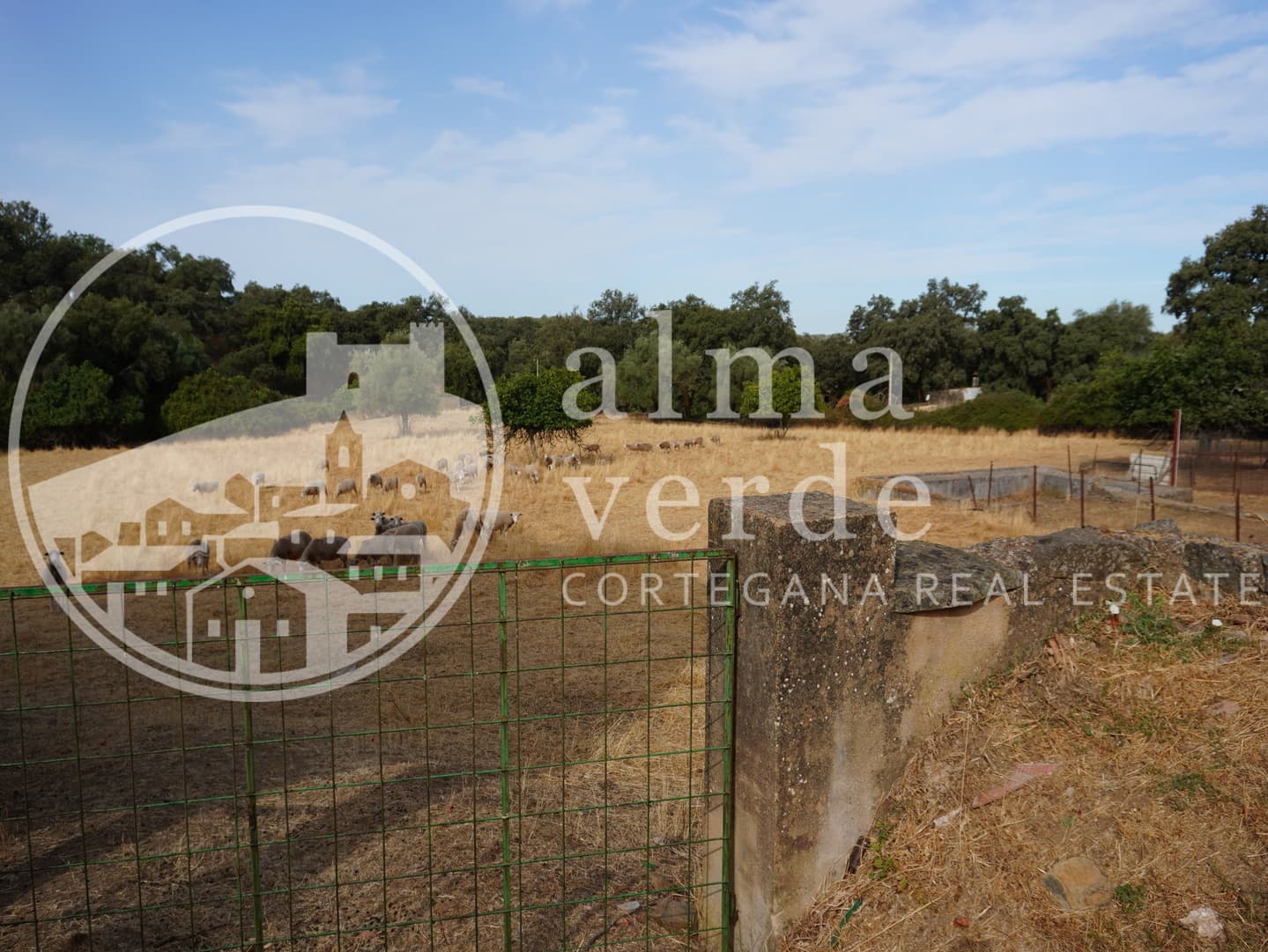Privileged Location Just 5 Minutes from the Village - Image 4