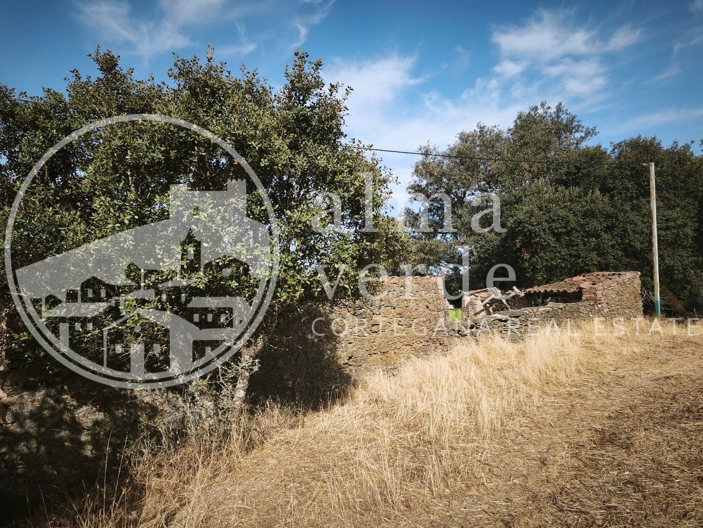 Privileged Location Just 5 Minutes from the Village - Image 6