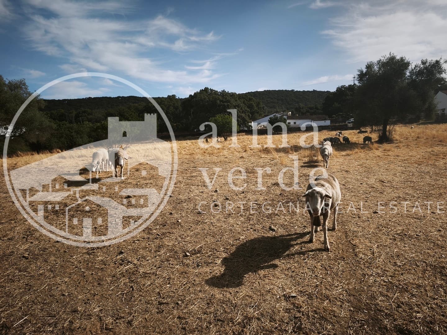 Privileged Location Just 5 Minutes from the Village - Image 7