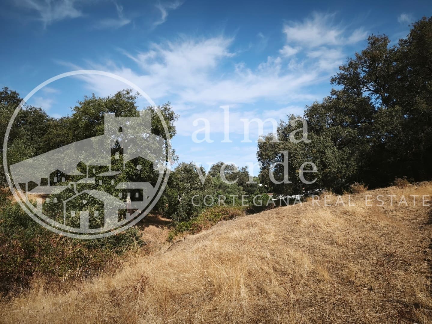 Privileged Location Just 5 Minutes from the Village - Image 8