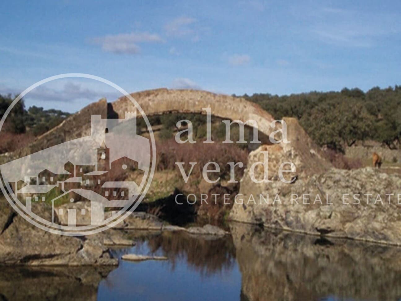 Land at the heart of Cañada Real, a historic transhumance trail to Portugal. - Image 11