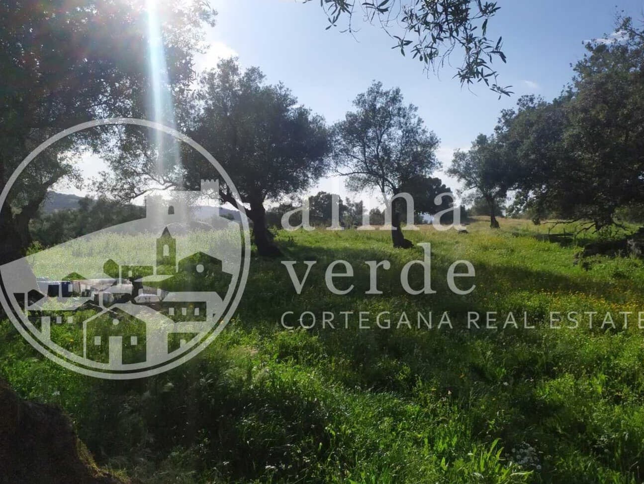Land at the heart of Cañada Real, a historic transhumance trail to Portugal. - Image 6