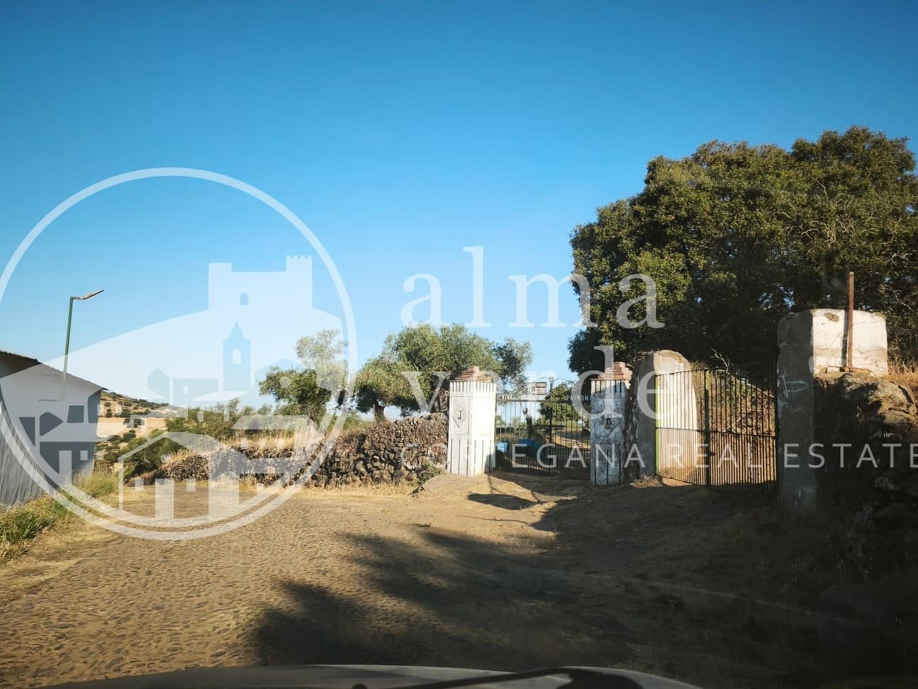 Land at the heart of Cañada Real, a historic transhumance trail to Portugal. - Image 3