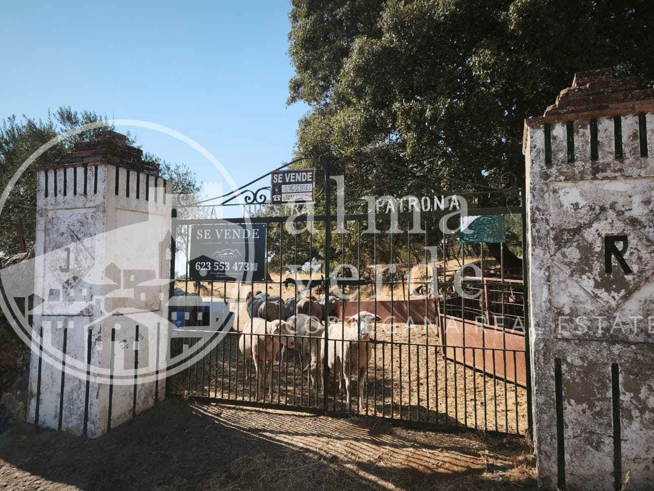 Land at the heart of Cañada Real, a historic transhumance trail to Portugal. - Image 4
