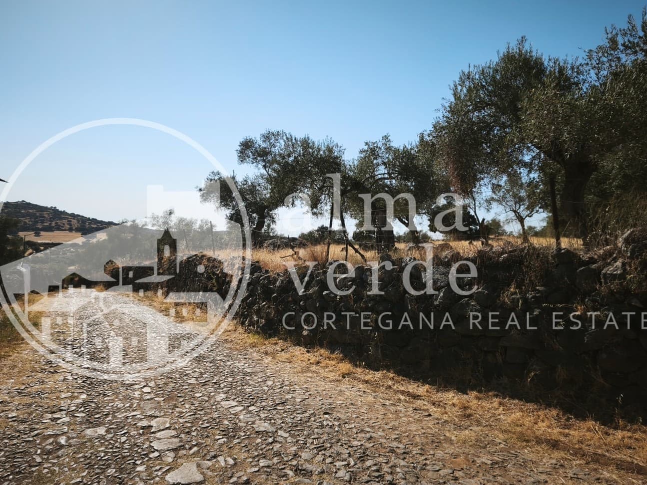 Land at the heart of Cañada Real, a historic transhumance trail to Portugal. - Image 2